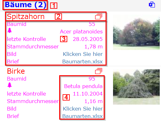 Suchergebnis_Formatierungsoptionen_Ergebnis_1