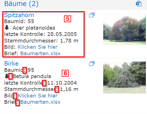 Suchergebnis_Formatierungsoptionen_Ergebnis_2