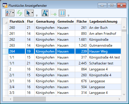 Anzeigefenster_Einzelauswahl_1