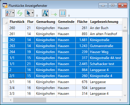 Anzeigefenster_Einzelauswahl_2