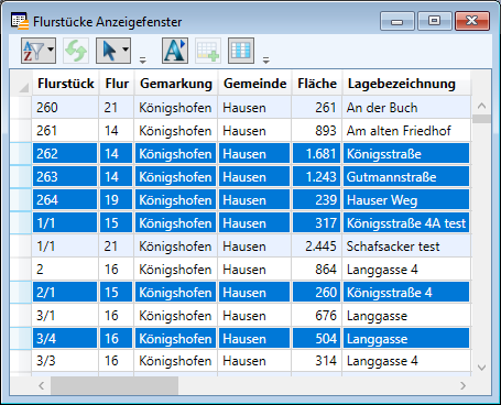 Anzeigefenster_Einzelauswahl_3