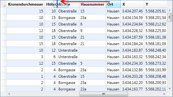 Anzeigefenster_Spalte_verschieben