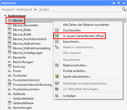 Funktion_Kartenfenster_Relationsliste