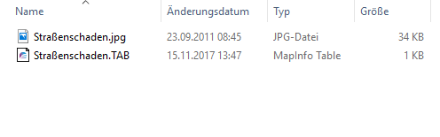 Formate_Import_Datei_öffnen_Raster_Explorer_nicht_georef_2