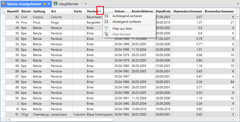 Anzeigefenster_Kontextmenü_Sortieren