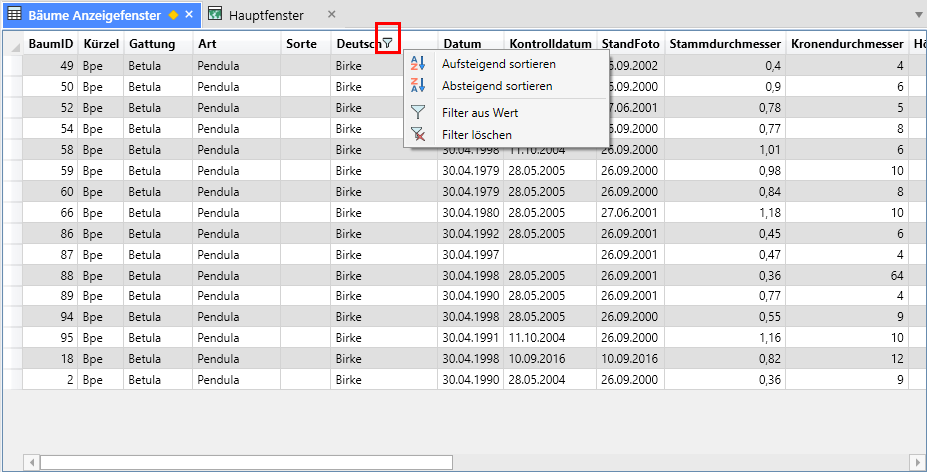 Anzeigefenster_Kontextmenü_Filter