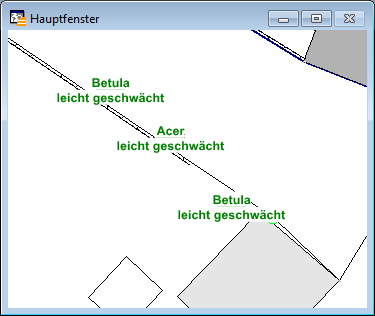 Kartenfenster_Beschriftungen_3