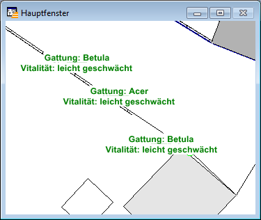 Kartenfenster_Beschriftungen_5