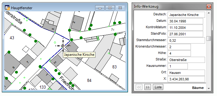 Kartenfenster_Infotool_2