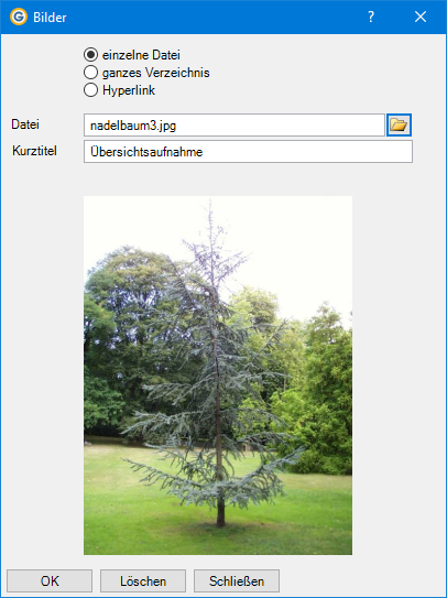 KarteikarteDokument