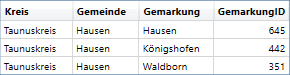 Formular_Beipiel_Tabelle4