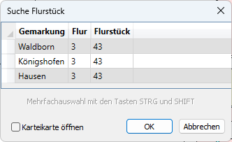 Schnellsuche_Suchergebnis_Flurstück_2